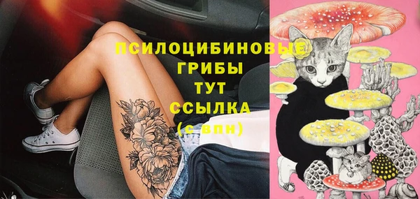 прущие крисы Балахна