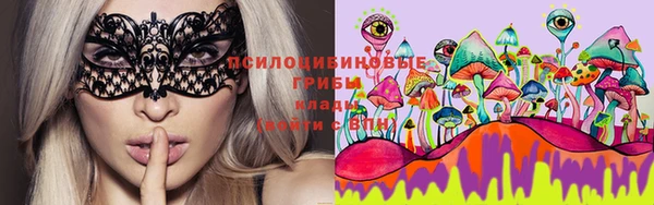 прущие крисы Балахна