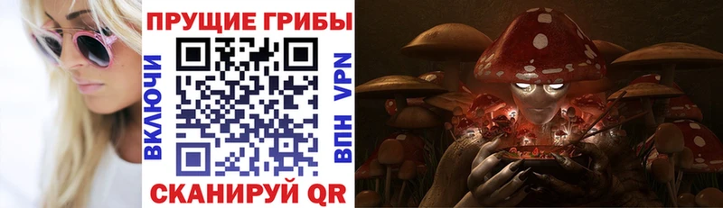Галлюциногенные грибы ЛСД Староминская