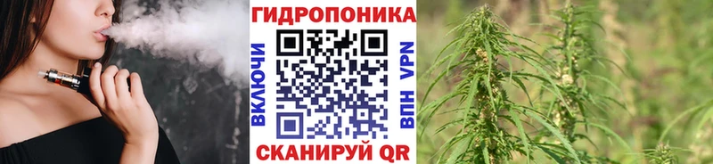 Шишки марихуана ГИДРОПОН  shop какой сайт  Староминская 